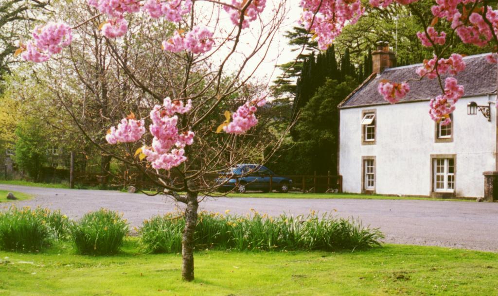 Inverawe Cottages Taynuilt Quarto foto